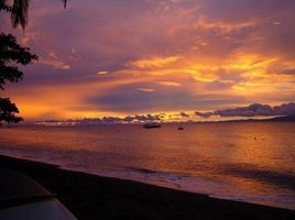  Grundstück zu verkaufen in Negros Oriental, Negros Island Region, Dauin