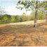  Land for sale in Chame, Panama Oeste, Las Lajas, Chame