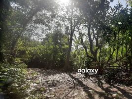  Land for sale in Kuta, Badung, Kuta