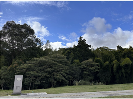 Terrain à vendre à Rionegro, Antioquia, Rionegro