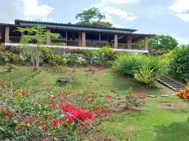 4 Bedroom Villa for rent in Antioquia, San Juan De Uraba, Antioquia