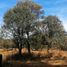 Land for sale in Atemajac De Brizuela, Jalisco, Atemajac De Brizuela
