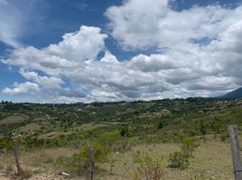  Land for sale in Villa De Leyva, Boyaca, Villa De Leyva