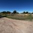  Land for sale in Uruguay Entre Rios, Uruguay