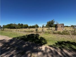  Land for sale in Uruguay Entre Rios, Uruguay