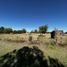  Land for sale in Uruguay Entre Rios, Uruguay