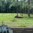  Terreno (Parcela) en venta en Santa Rosa City, Calabarzon, Santa Rosa City