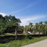  Land for sale in Tapachula, Chiapas, Tapachula