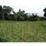  Terreno (Parcela) en venta en Sumurbandung, West Jawa, Sumurbandung