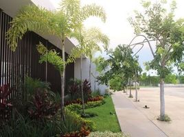 Maison 3 chambre à vendre à Conkal, Yucatan, Conkal