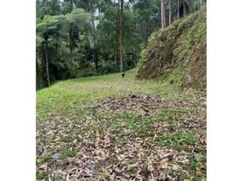  Land for sale in Sabaneta, Antioquia, Sabaneta