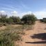  Land for sale in San Luis Potosi, San Luis Potosi, San Luis Potosi, San Luis Potosi