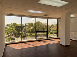 484.24 m² Office for rent in Panamá, Bella Vista, Ciudad de Panamá, Panamá, Panamá