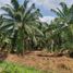  Land for sale in Bandar Klang, Selangor, Bandar Klang