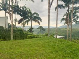  Land for sale in Pereira, Risaralda, Pereira