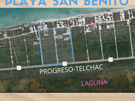 Terrain à vendre à Chicxulub Pueblo, Yucatan, Chicxulub Pueblo