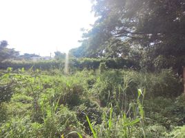  Land for sale in San Jose De Cucuta, Norte De Santander, San Jose De Cucuta