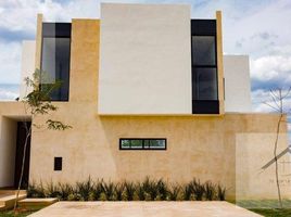  Land for sale in Tixpehual, Yucatan, Tixpehual