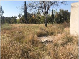  Land for sale in San Andres Cholula, Puebla, San Andres Cholula