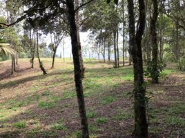  Grundstück zu verkaufen in Retiro, Antioquia, Retiro, Antioquia