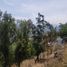  Grundstück zu verkaufen in Valle De Bravo, Mexico, Valle De Bravo