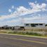  Land for rent in Saucillo, Chihuahua, Saucillo, Chihuahua