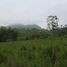  Land for sale in Montecristi, Montecristi, Montecristi