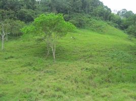  Terreno (Parcela) en venta en Montecristi, Manabi, Montecristi, Montecristi