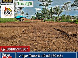  Land for sale in Kepanjen, Malang Regency, Kepanjen