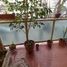 2 Schlafzimmer Wohnung zu verkaufen in Lanus, Buenos Aires, Lanus