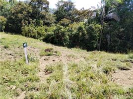  Terreno (Parcela) en venta en Cocorna, Antioquia, Cocorna