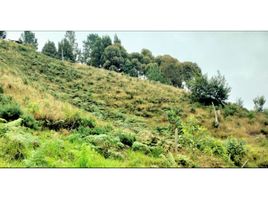  Land for sale in Envigado, Antioquia, Envigado