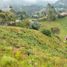  Land for sale in Envigado, Antioquia, Envigado