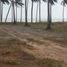  Terrain for sale in Johor, Bandar Johor Bahru, Johor Bahru, Johor