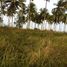  Terrain for sale in Johor, Bandar Johor Bahru, Johor Bahru, Johor