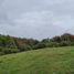  Land for sale in Chile, Maullin, Llanquihue, Los Lagos, Chile