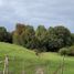  Land for sale in Chile, Maullin, Llanquihue, Los Lagos, Chile