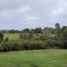  Land for sale in Chile, Maullin, Llanquihue, Los Lagos, Chile