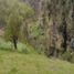  Land for sale in Llacao, Cuenca, Llacao