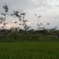 3 Habitación Casa en venta en Gamping, Yogyakarta, Gamping