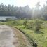  Land for sale in Selemadeg, Tabanan, Selemadeg