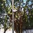 2 Bedroom Apartment for sale in La Matanza Buenos Aires, La Matanza
