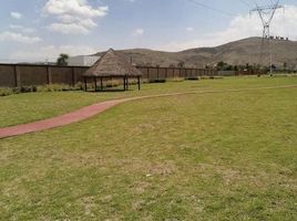  Land for sale in Ocoyucan, Puebla, Ocoyucan