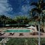  Grundstück zu verkaufen in Othon P Blanco, Quintana Roo, Othon P Blanco