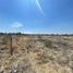 Land for sale in Apaseo El Grande, Guanajuato, Apaseo El Grande