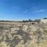  Land for sale in Apaseo El Grande, Guanajuato, Apaseo El Grande
