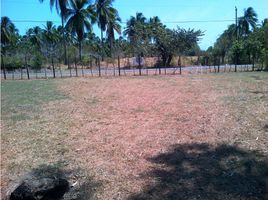  Terreno (Parcela) en venta en San Lorenzo, Chiriquí, San Lorenzo, San Lorenzo