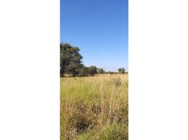  Terrain for sale in Libertad, Chaco, Libertad