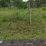  Land for sale in Prigen, East Jawa, Prigen, Pasuruan