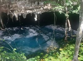 Studio Haus zu verkaufen in Tizimin, Yucatan, Tizimin
